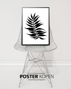 Poster - plant-botanic in zwart wit