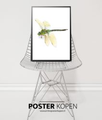 Botanische Posters l Botanische prints l Online Poster Kopen
