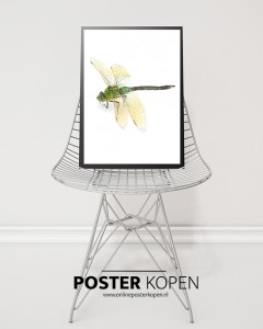 botanische-poster-libelle