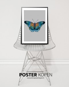 botanische-poster-vlinder-groen