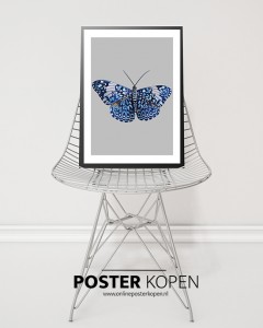 botanische-poster-vlinder-blauw