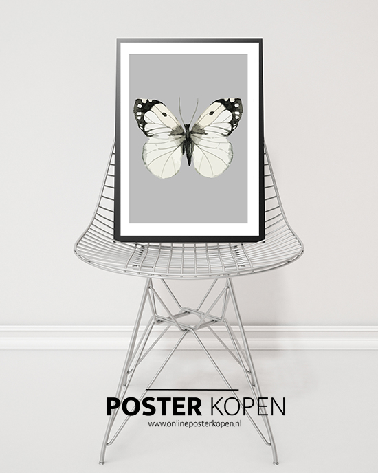 botanische poster-onlineposterkopen-vlinder-poster