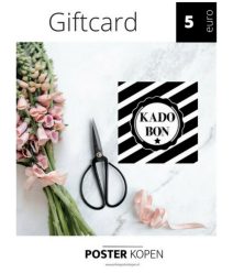 giftcard5euro-onlineposterkopen