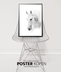 Dieren Posters l dieren prints l Online Poster Kopen