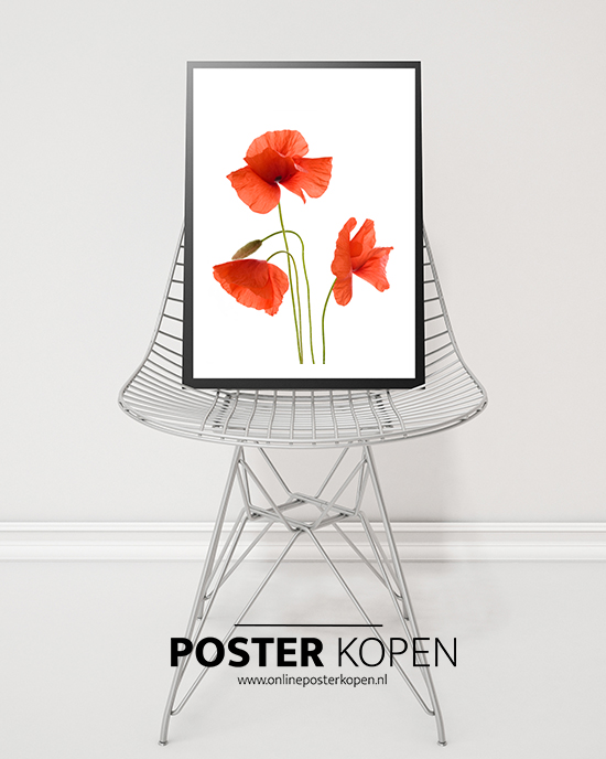 Bloemen Posters bloemen prints l Online Poster Kopen