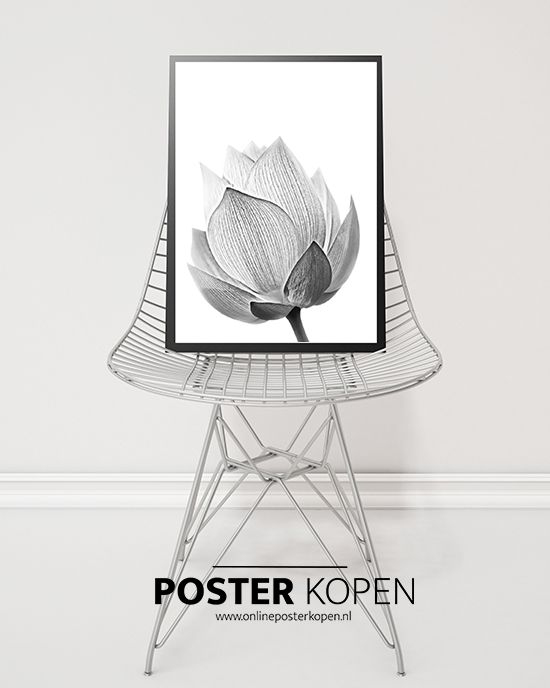 Botanische-poster-lotusbloem-onlineposterkopen