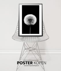 Zwart wit Posters Kopen? Bestel eenvoudig online l Online Poster Kopen