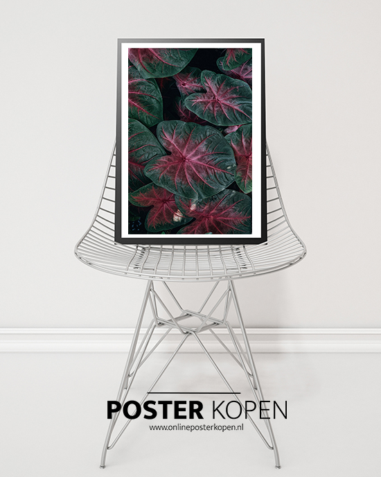 Botanische poster- Online Poster Kopen