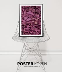 Botanische-poster-bloem-onlineposterkopen
