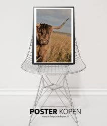 Natuur posters l natuur prints l Online Poster Ko