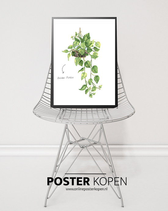 poster-botanischgroen-onlineposterkopen