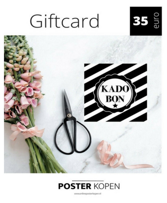 giftcard 35 euro-onlineposterkopen