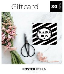 giftcard 30 euro-onlineposterkopen