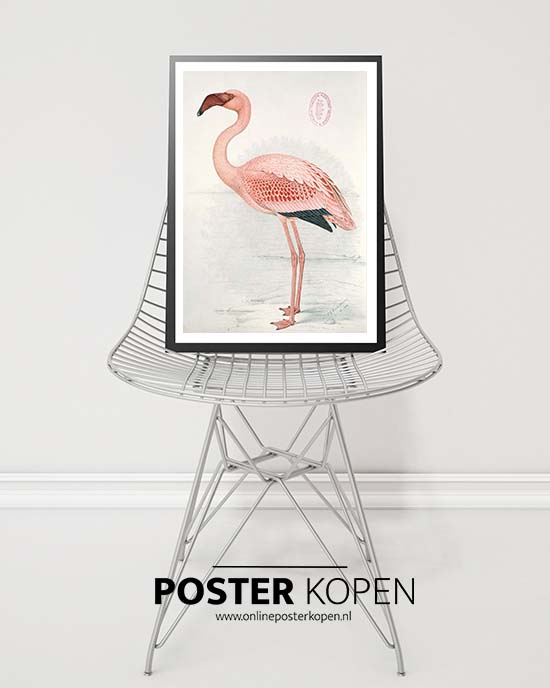 John James Audubon Flamingo poster