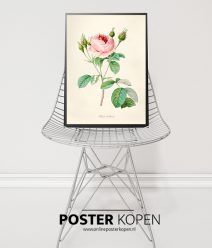 Bloemenpatroon poster- bloemenposter-online poster kopen