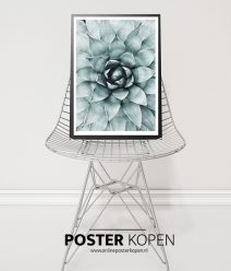botanische-poster-onlineposterkopen
