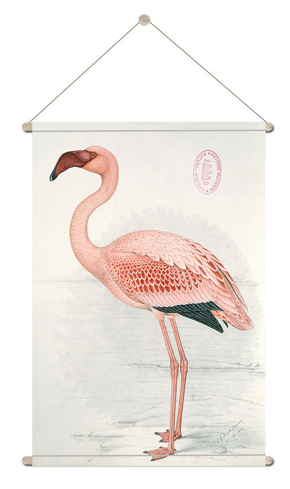 Wet en regelgeving dier partij Textiel poster l design muur decoratie l Textiel poster Greater Flamingo