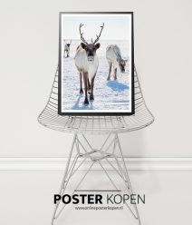 kerstposter-rendieren-poster-onlineposterkopen