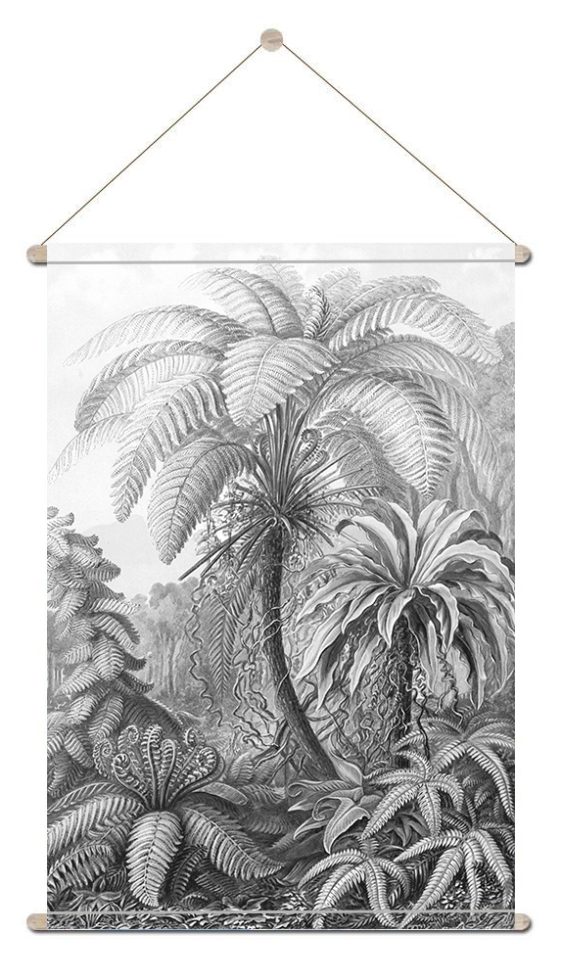 textielposter- Ernst Haeckel-botanisch-onlineposterkopen