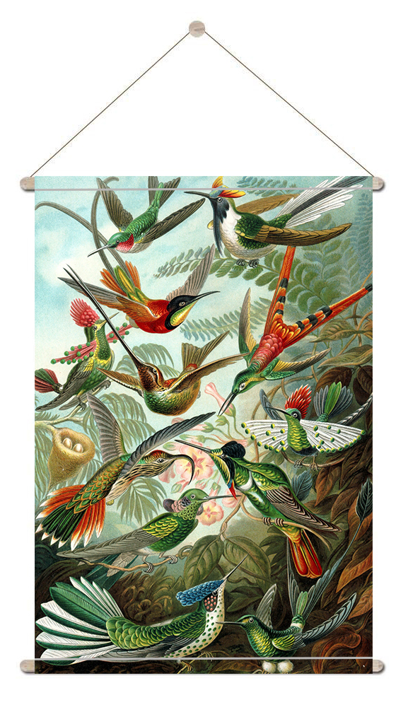 vruchten wijs vegetarisch Textiel poster l muurdecoratie l textielposter Kolibries-door-Ernst-Haeckel