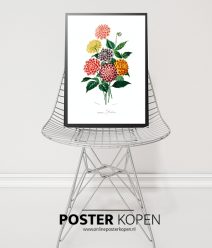 bloemen-poster-onlineposterkopen