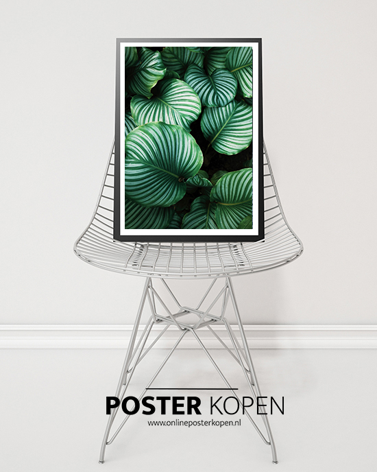 botanische-poster-onlineposterkopen