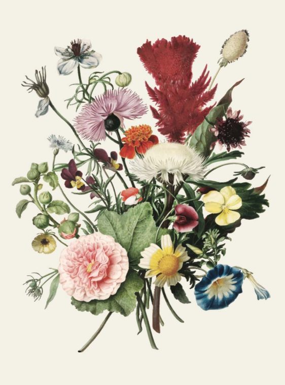 bloemen boekt poster-rijksmuseum- onlineposterkopen