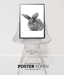 poster met een konijn - kinderposter - online poster kopen