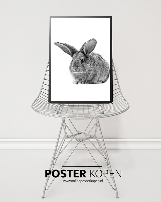 poster met een konijn - kinderposter - online poster kopen