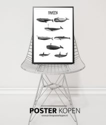 haaienposter-kinderkamer poster -onlineposterkopen