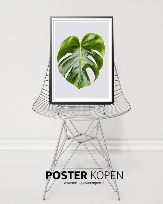 botanische posters - posters met planten - groen posters - online poster kopen