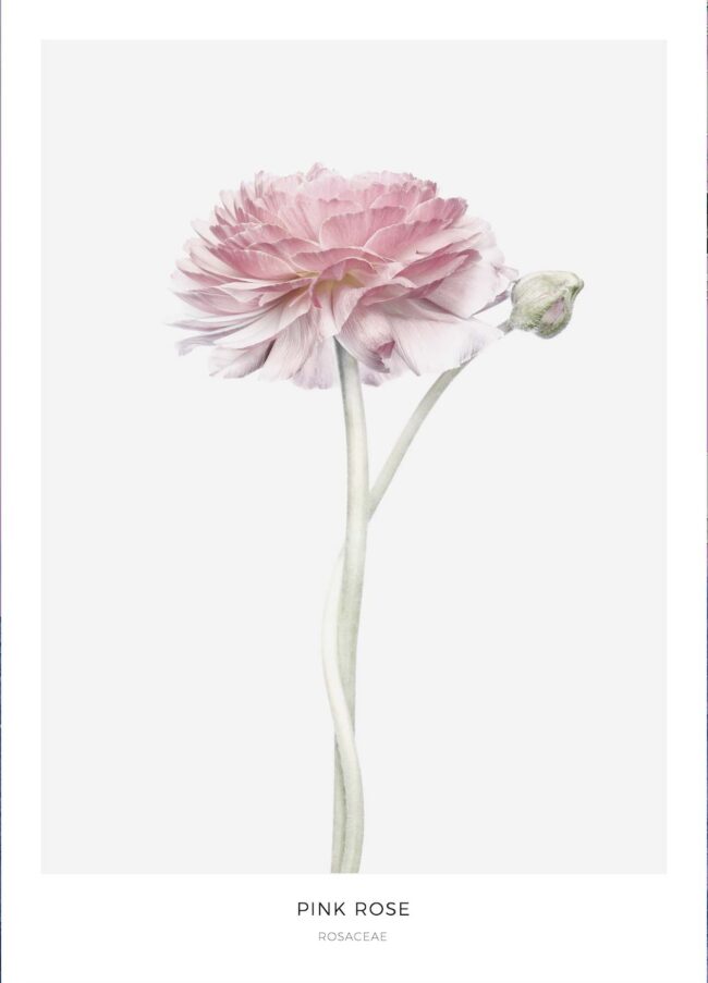 bloemen poster - poster met bloemen - online poster kopen